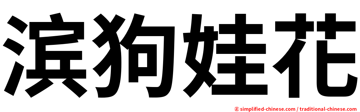 滨狗娃花