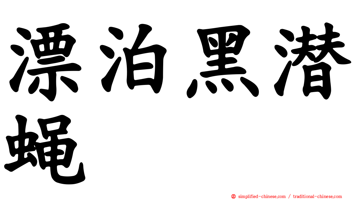 漂泊黑潜蝇