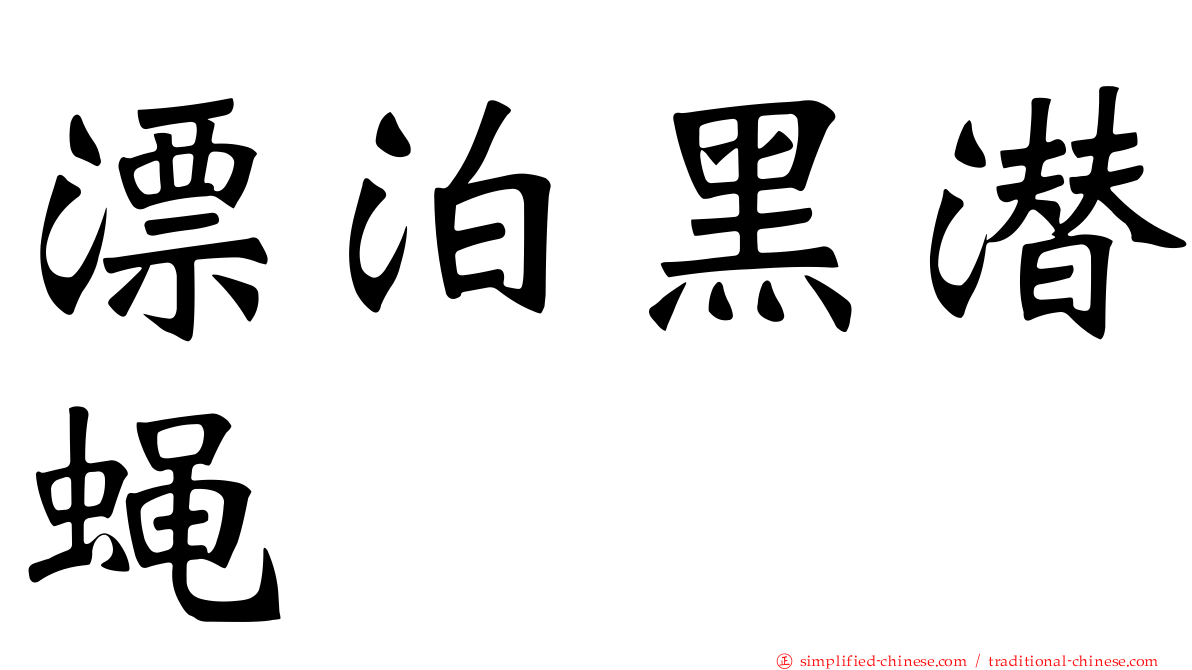 漂泊黑潜蝇