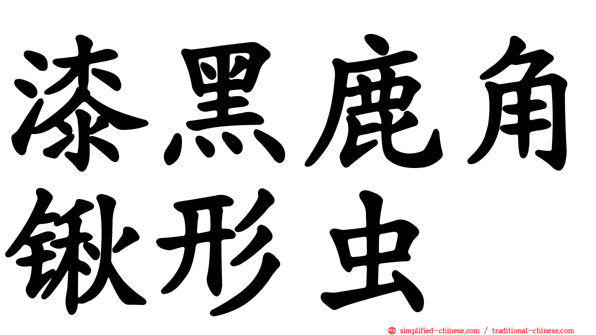 漆黑鹿角锹形虫