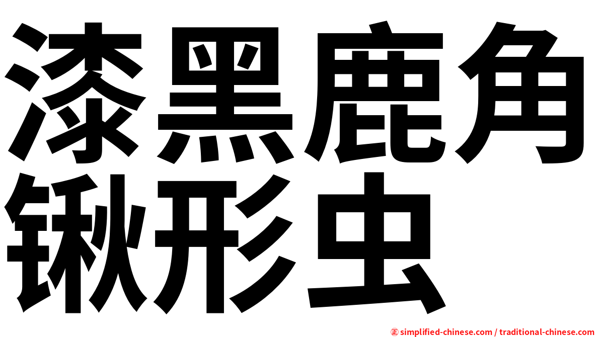 漆黑鹿角锹形虫