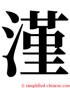 漌 serif font