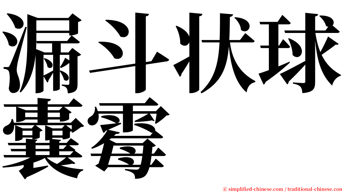 漏斗状球囊霉 serif font