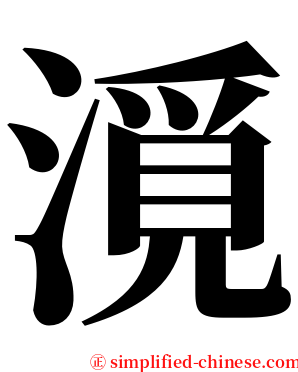 漞 serif font