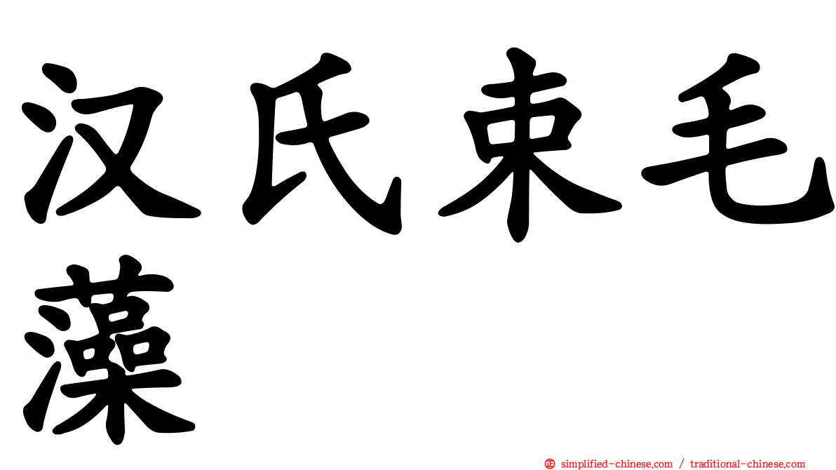 汉氏束毛藻