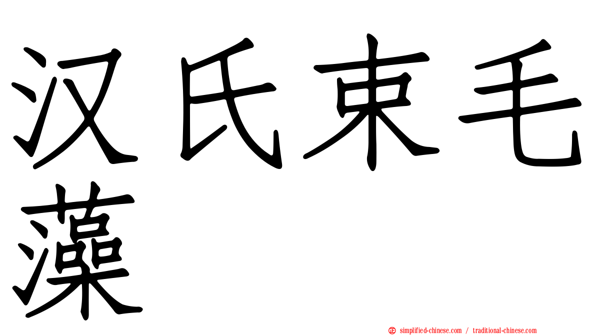 汉氏束毛藻