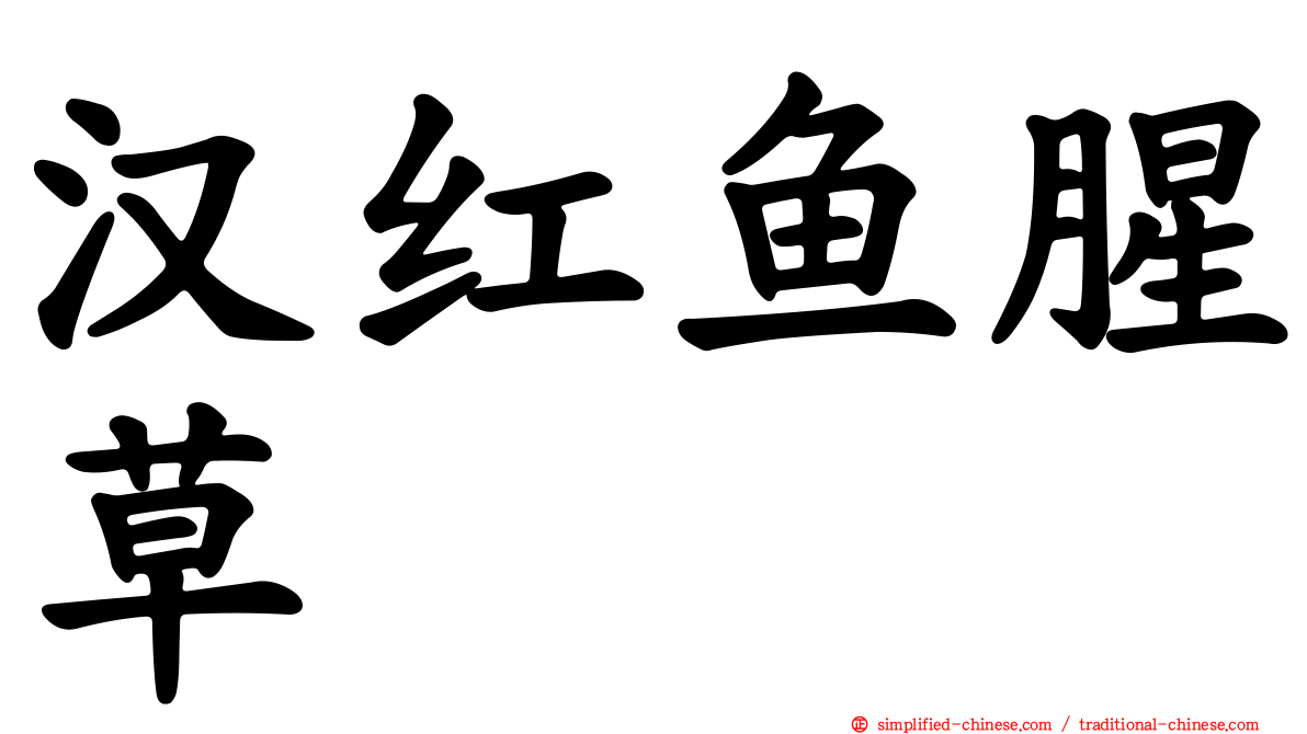 汉红鱼腥草