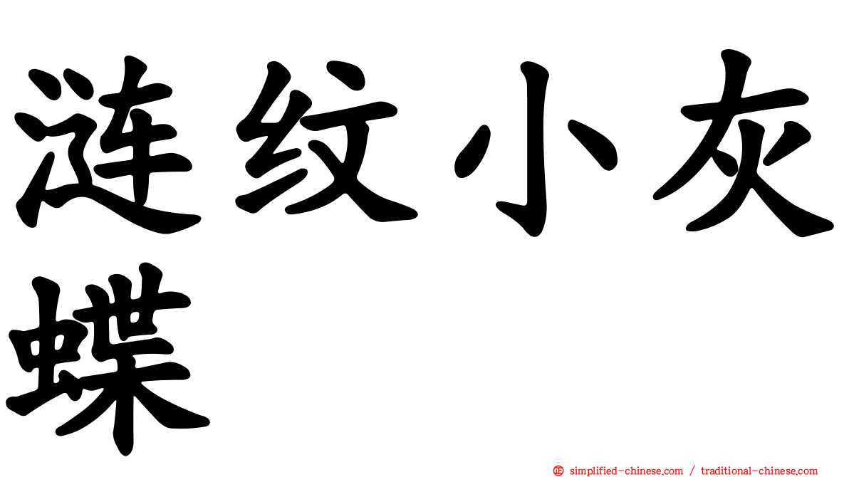 涟纹小灰蝶