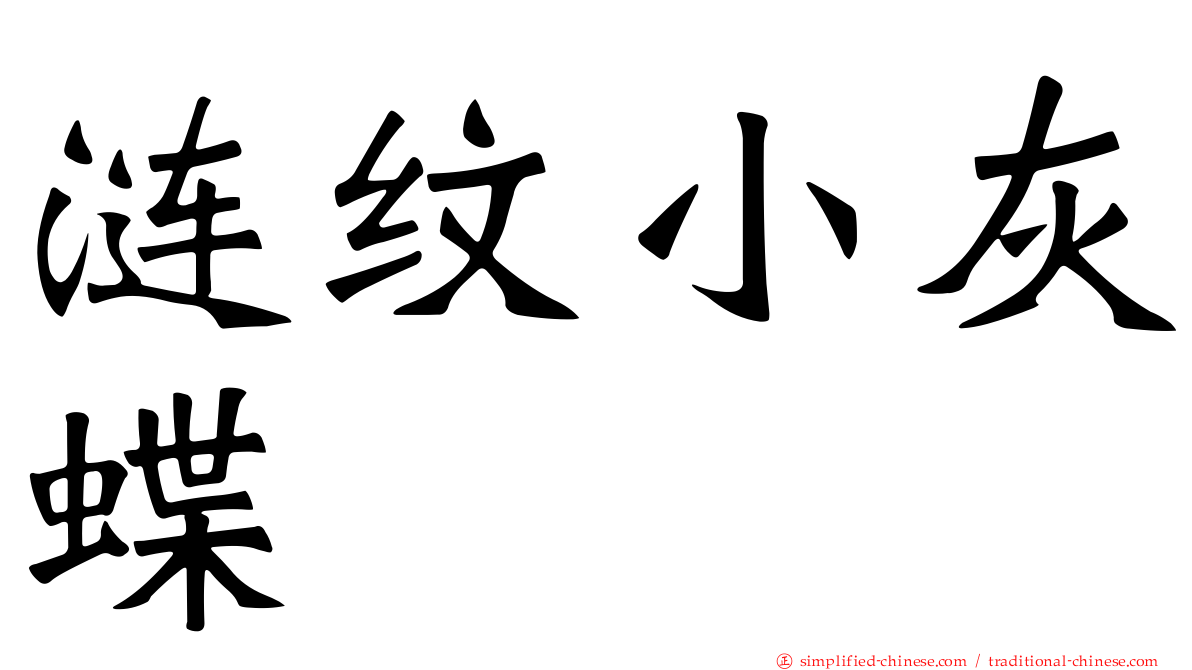 涟纹小灰蝶