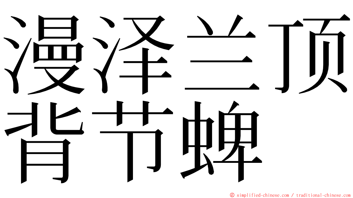 漫泽兰顶背节蜱 ming font
