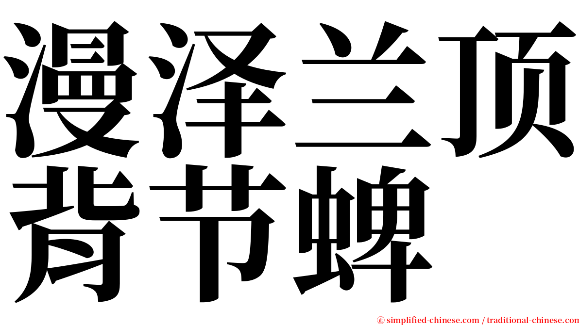 漫泽兰顶背节蜱 serif font