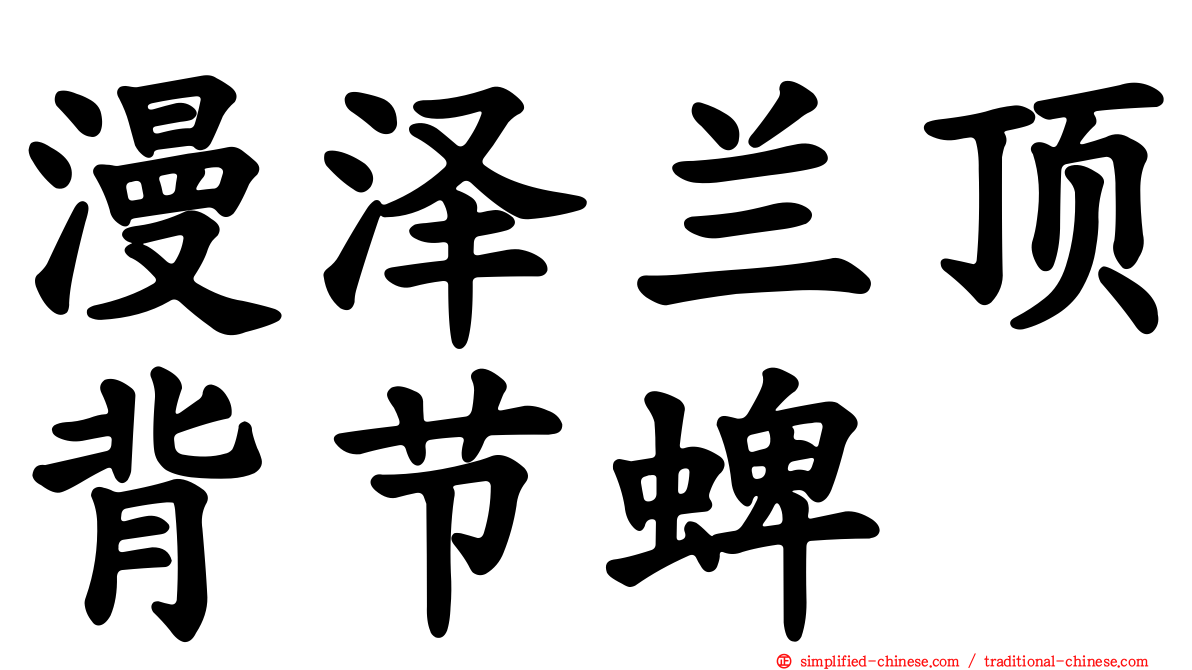 漫泽兰顶背节蜱