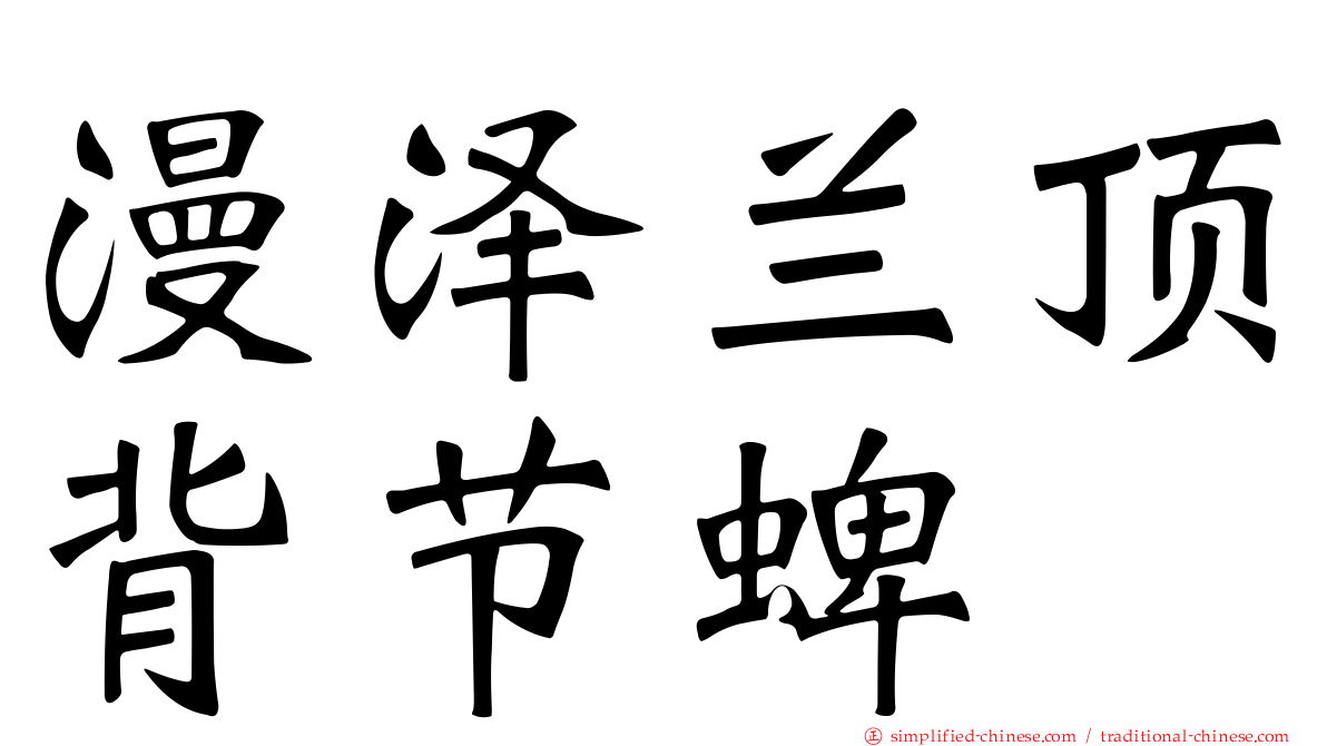 漫泽兰顶背节蜱