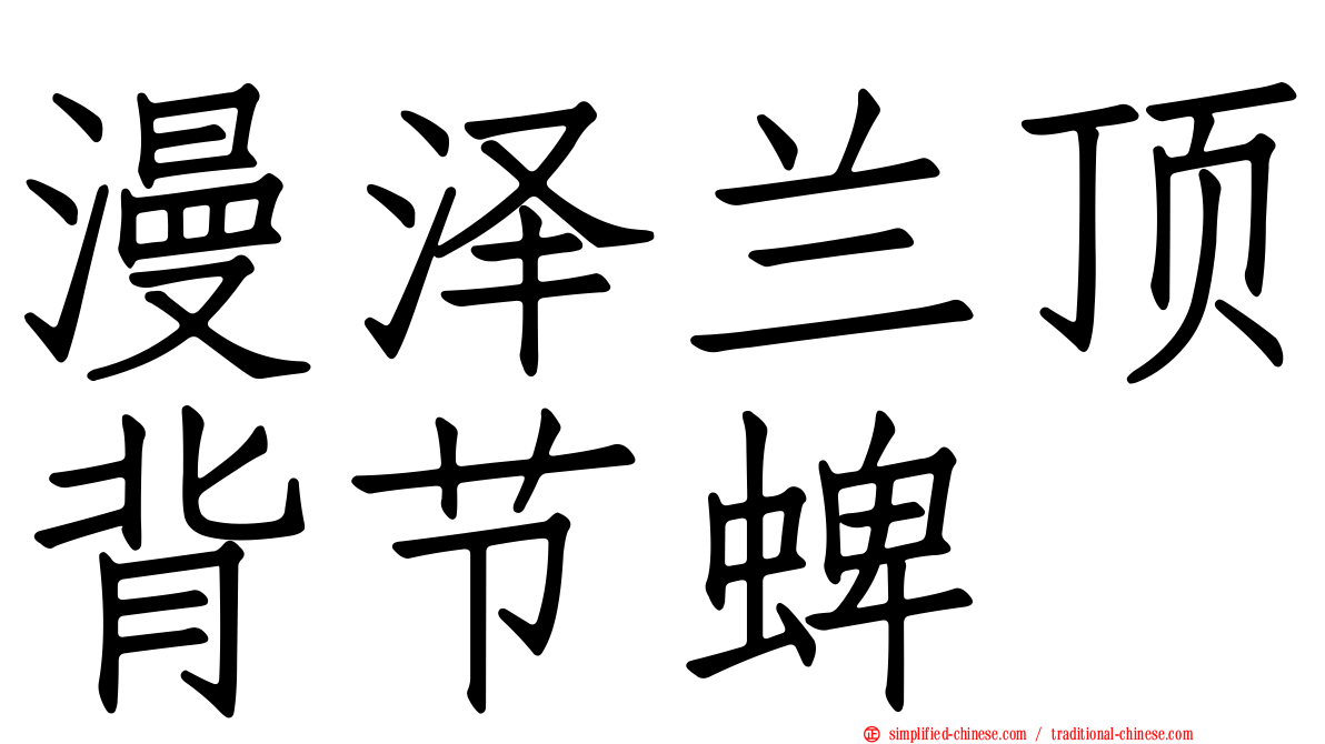 漫泽兰顶背节蜱