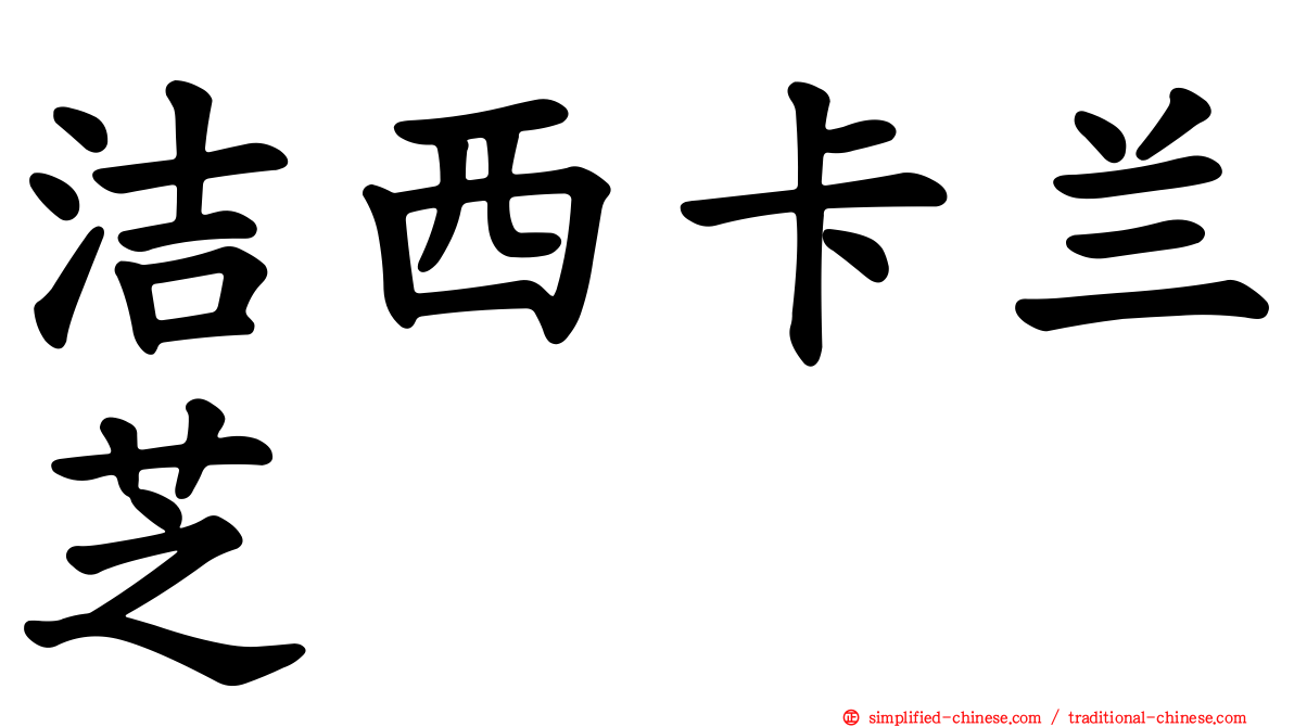 洁西卡兰芝