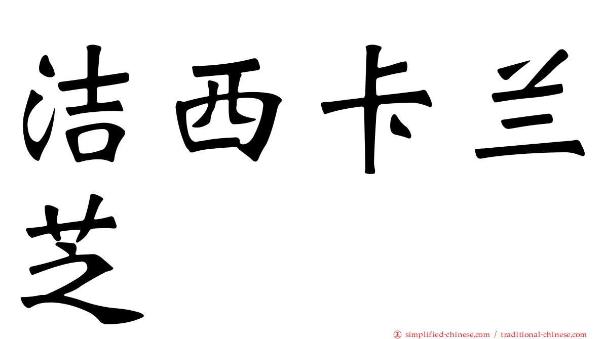 洁西卡兰芝