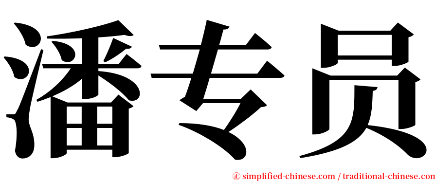 潘专员 serif font