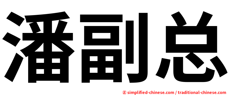 潘副总