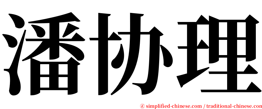 潘协理 serif font