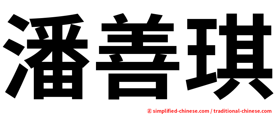 潘善琪