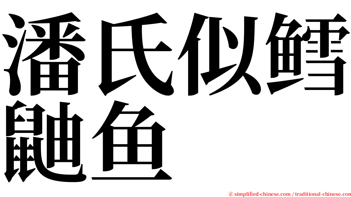 潘氏似鳕鼬鱼 serif font