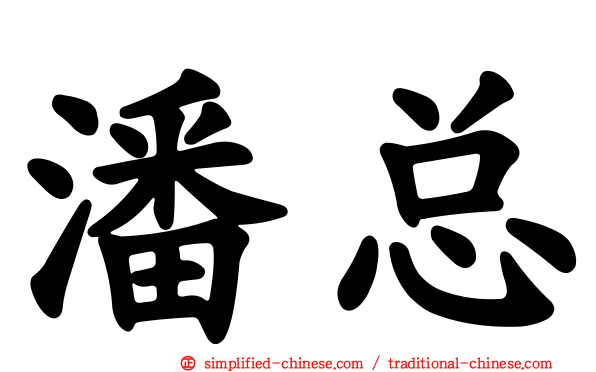 潘总