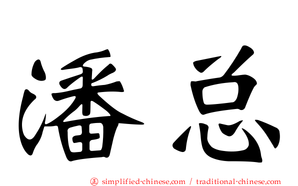 潘总