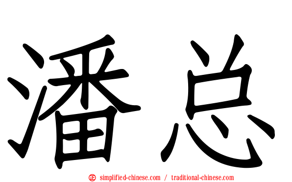 潘总