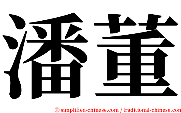 潘董 serif font
