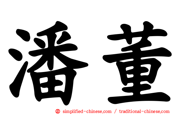潘董