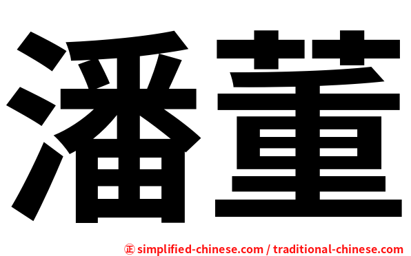 潘董