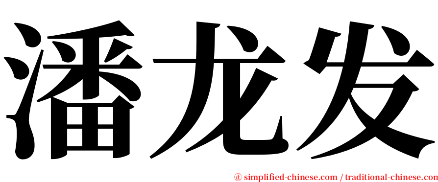 潘龙发 serif font