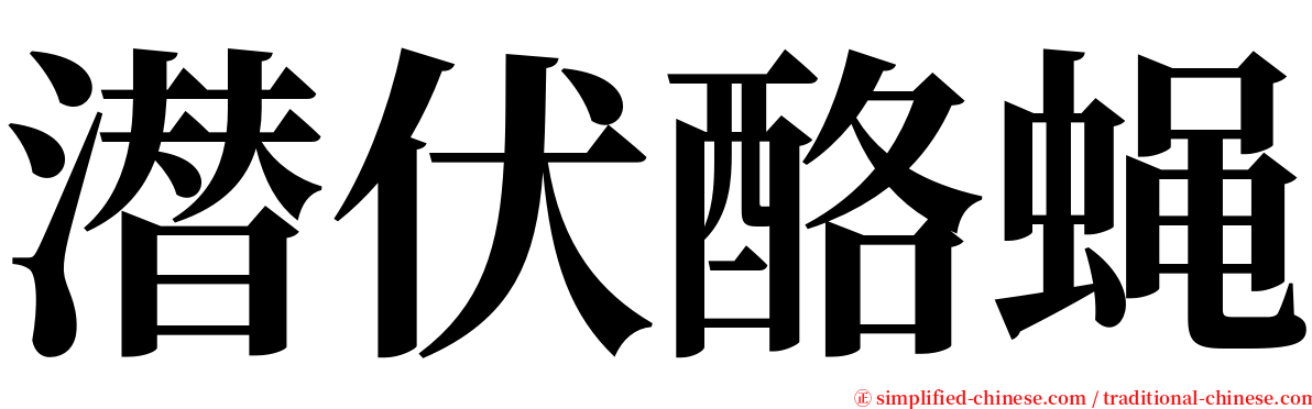 潜伏酪蝇 serif font