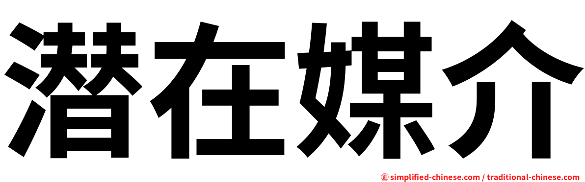 潜在媒介