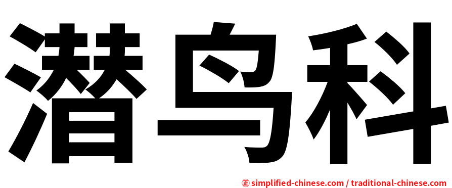 潜鸟科