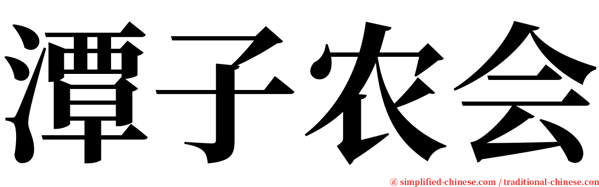 潭子农会 serif font