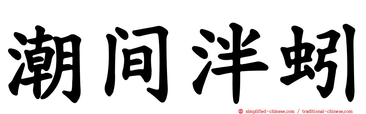 潮间泮蚓