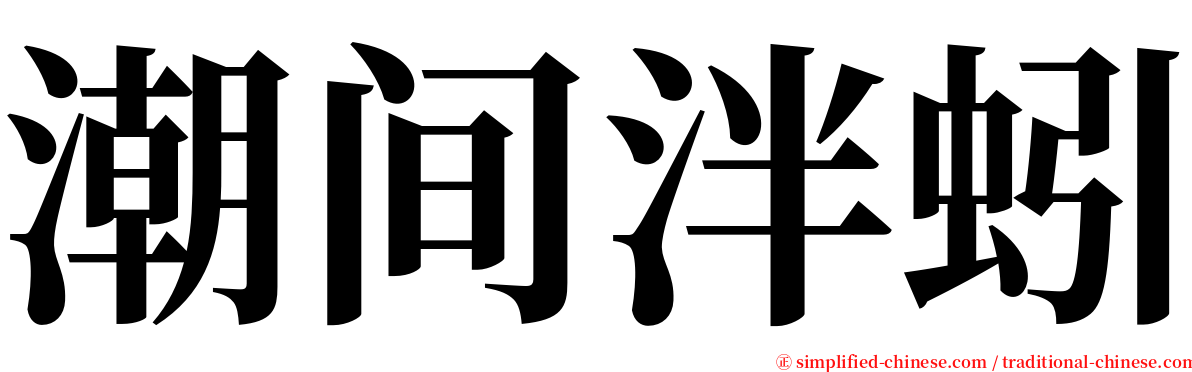 潮间泮蚓 serif font