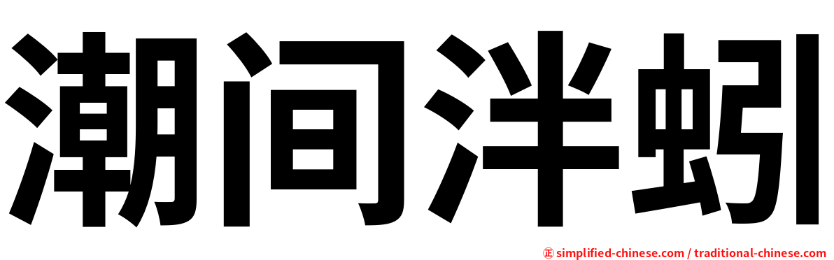 潮间泮蚓