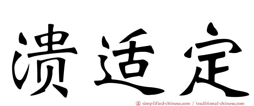 溃适定