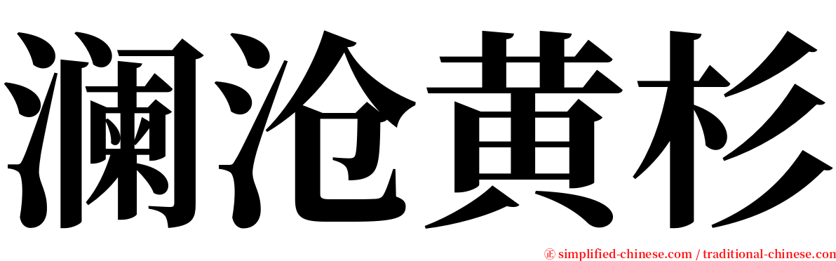 澜沧黄杉 serif font