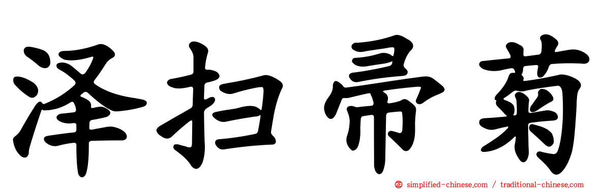 泽扫帚菊