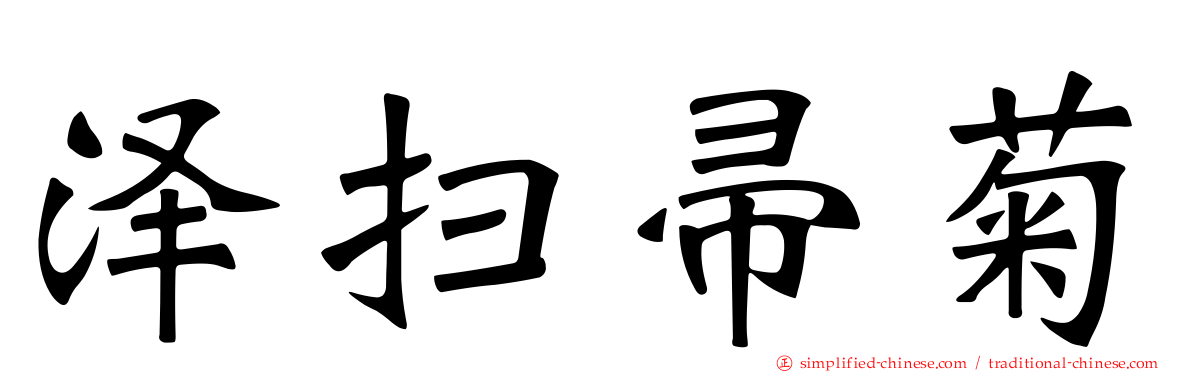 泽扫帚菊