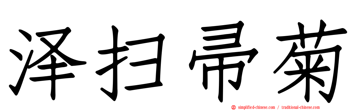 泽扫帚菊