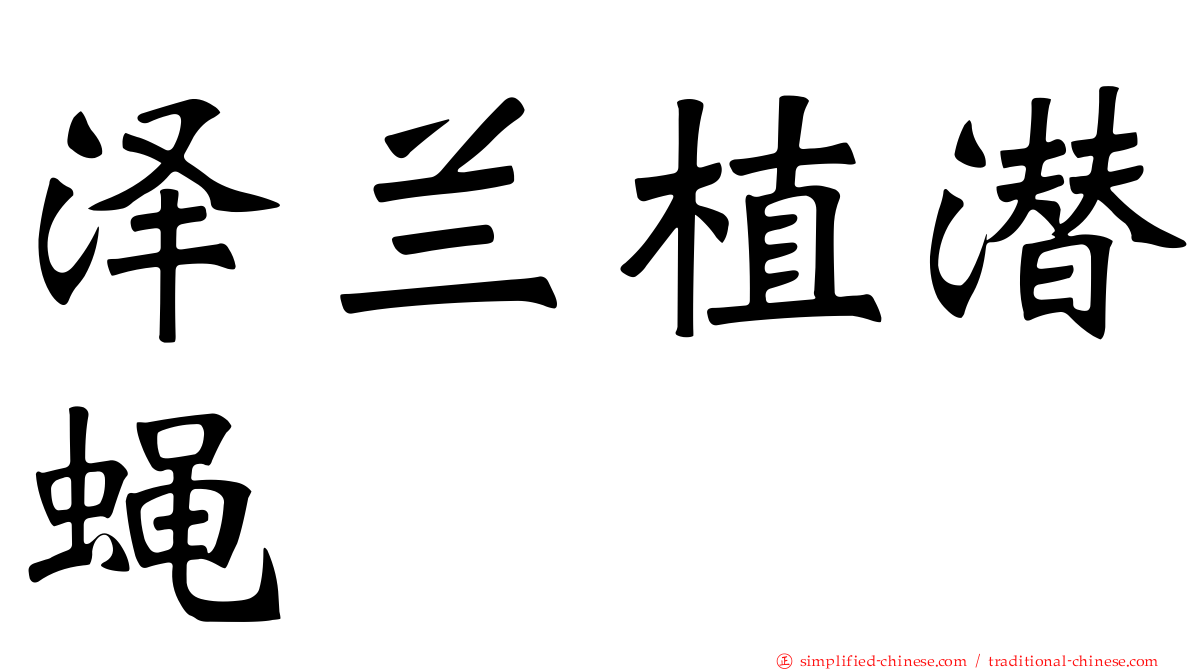 泽兰植潜蝇