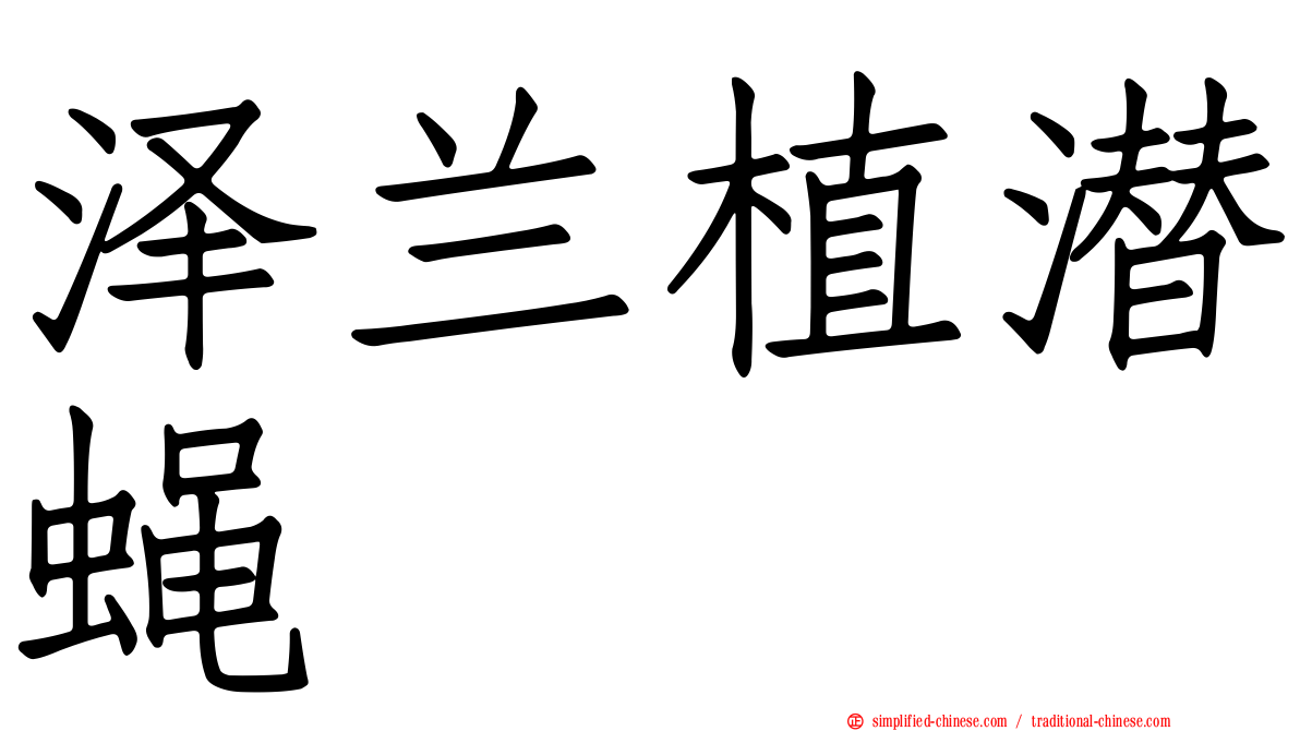 泽兰植潜蝇