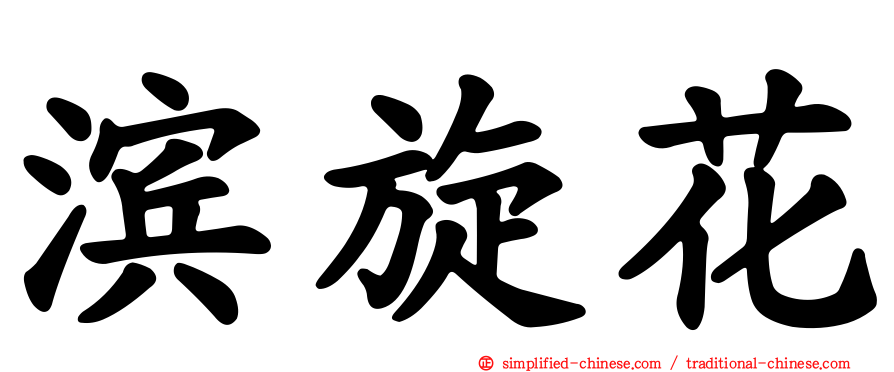 滨旋花