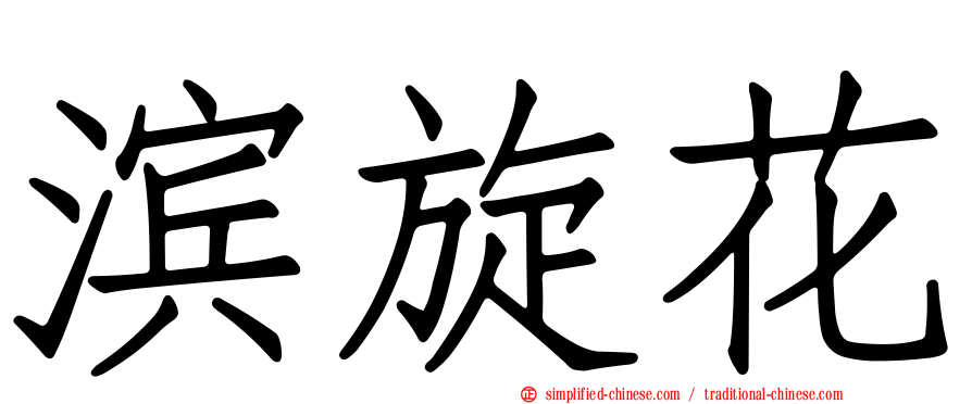滨旋花