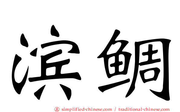 滨鲷