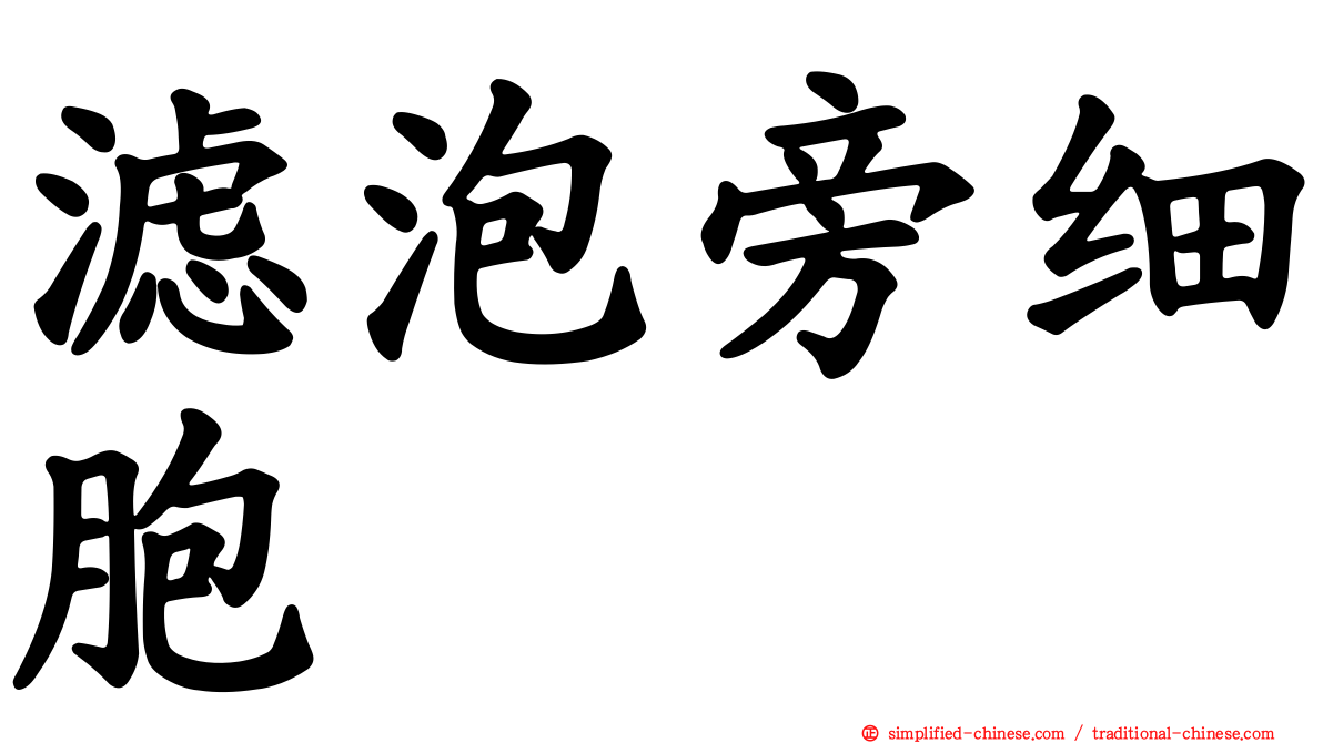 滤泡旁细胞